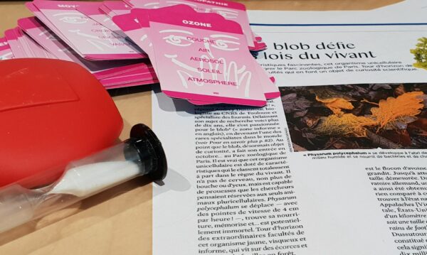 Formation vulgarisation