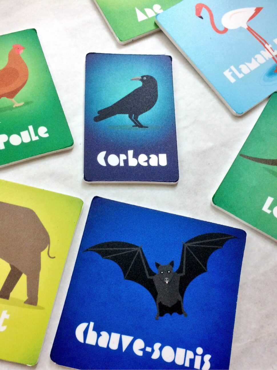 Des cartes avec des animaux de différents milieux