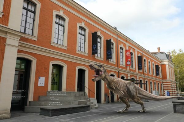 article blog Décod Image