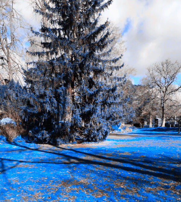 article blog Décod Image