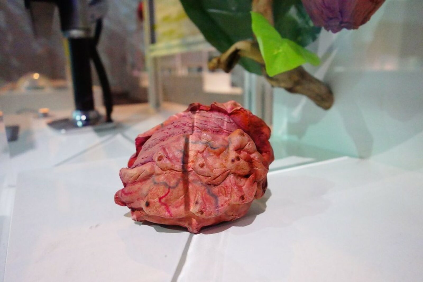 Maquette du Porcôtier