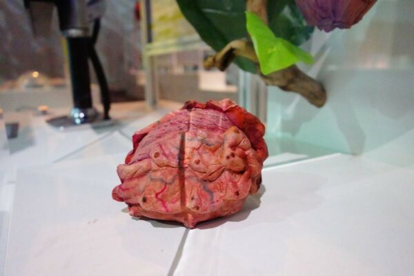 Maquette du Porcôtier