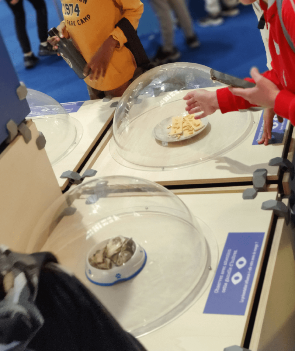 Salon Régional de l'Agriculture